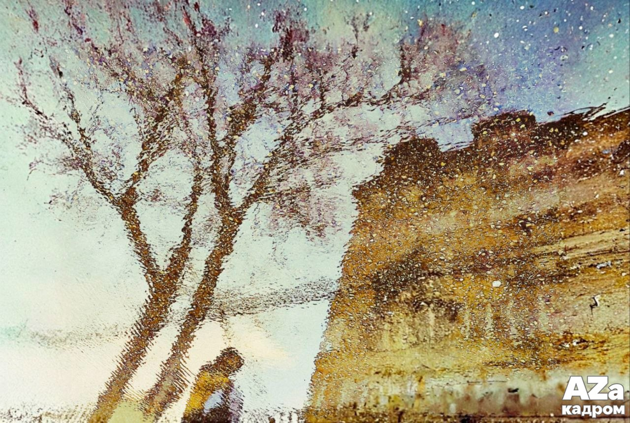 AZакадром «Отражения». Женский семейный фотограф Тула Москва Захарова Анна