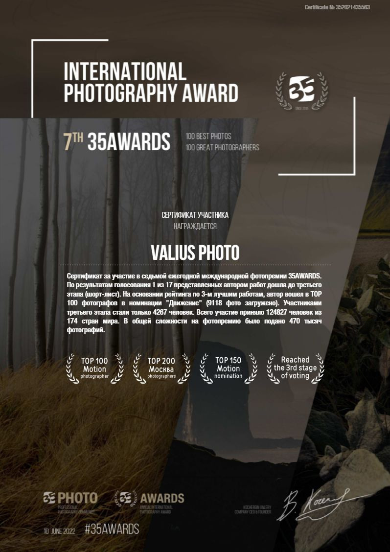 7th 35Awards. Танцы и балет, эротика, ню фотосессии в Москве. Valius Werwolf