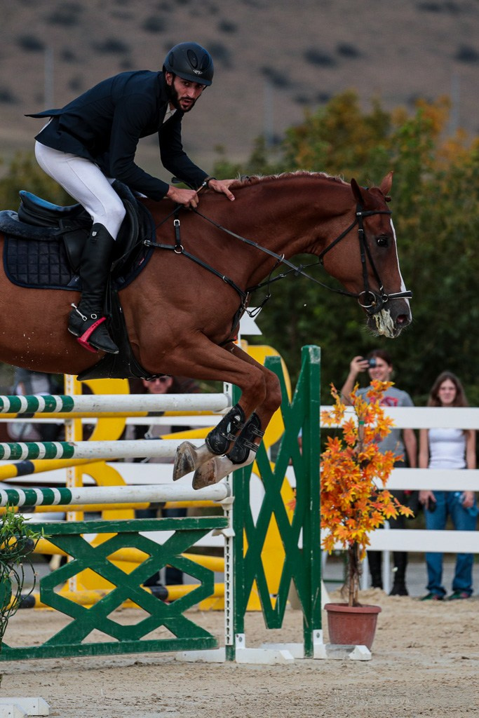 Конкур. Фотограф в Москве портреты | репортажи | спорт