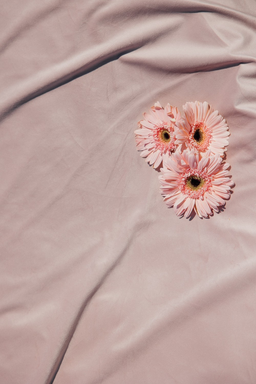 In the South. Свадебный фотограф Москва