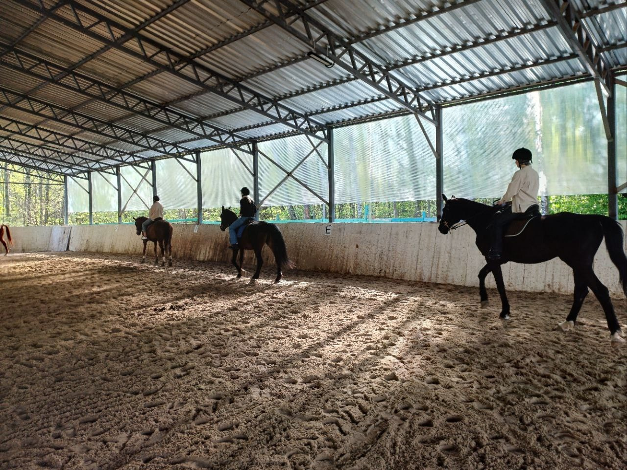 Лошадинг | 30.03.2024. Галерея Фантим