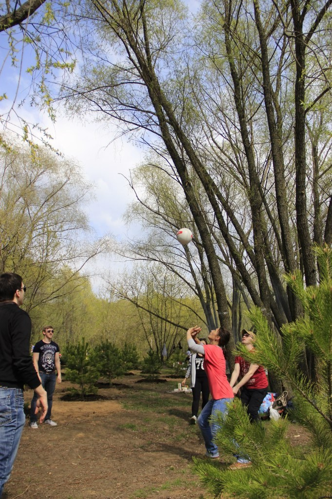 Шашлыки | 01.05.2016. Галерея Фантим