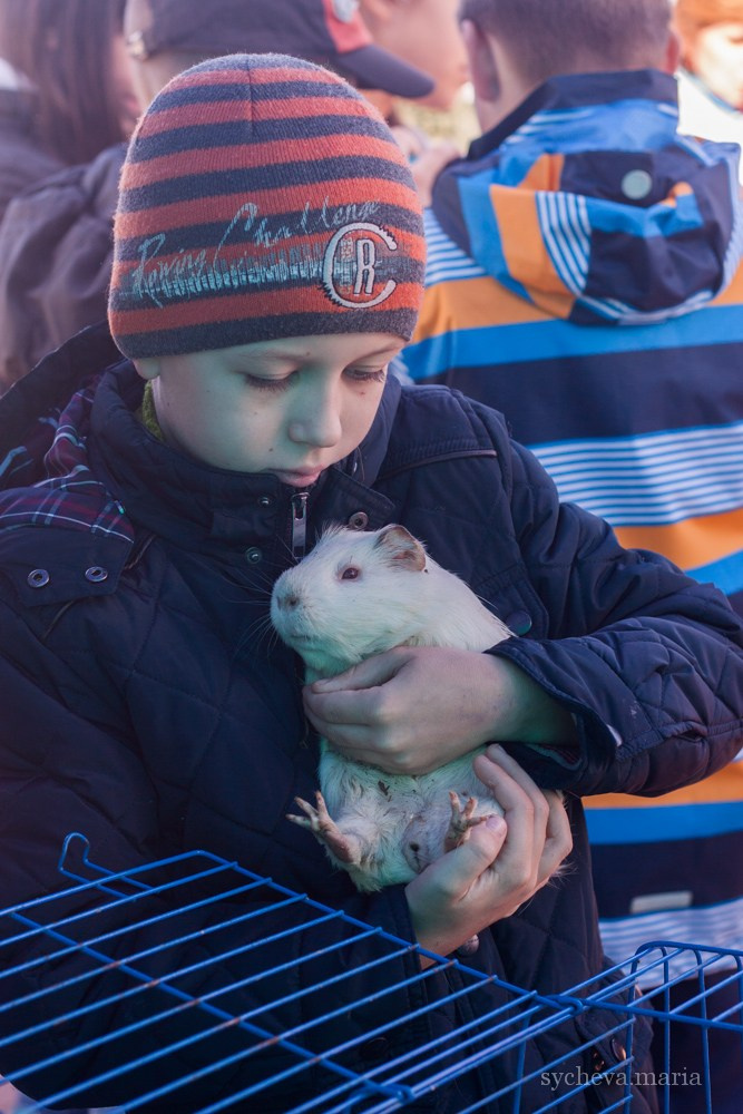 Ярмарка талантов. Детский и семейный фотограф, фотограф мероприятий Нижний Новгород