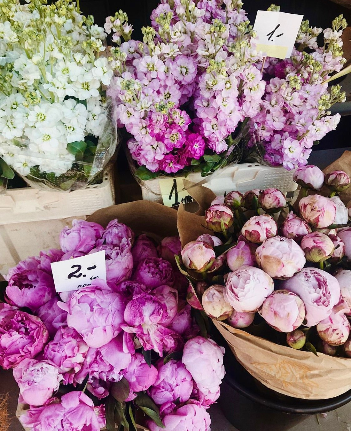 Таллин. Аня Степанова