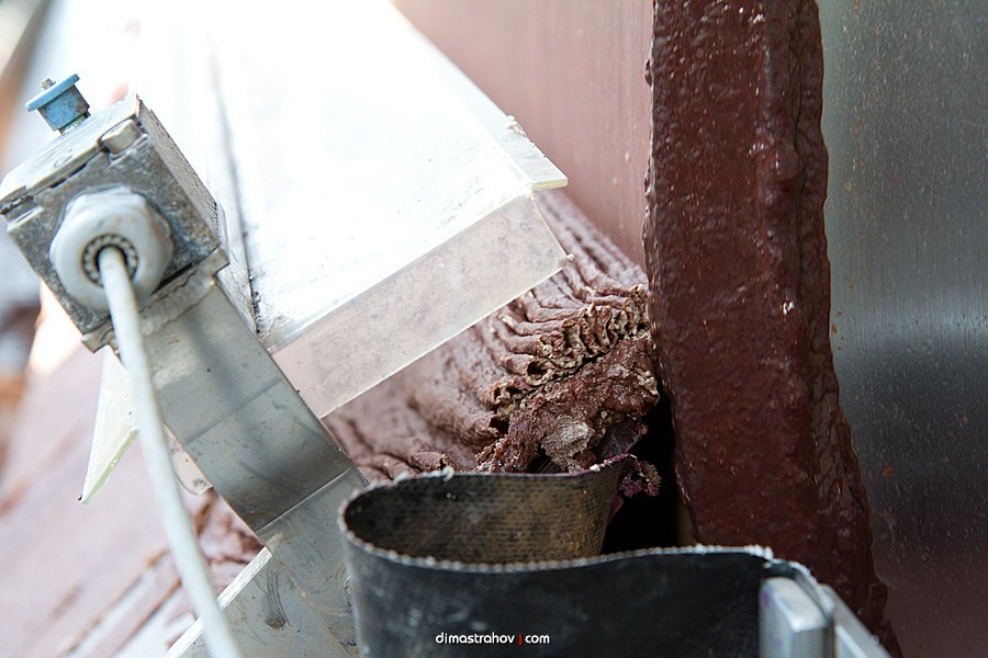 Винзавод Качинский +. Свадебный фотограф, фотосъемка в Крыму, Севастополе, Симферополе, Ялте
