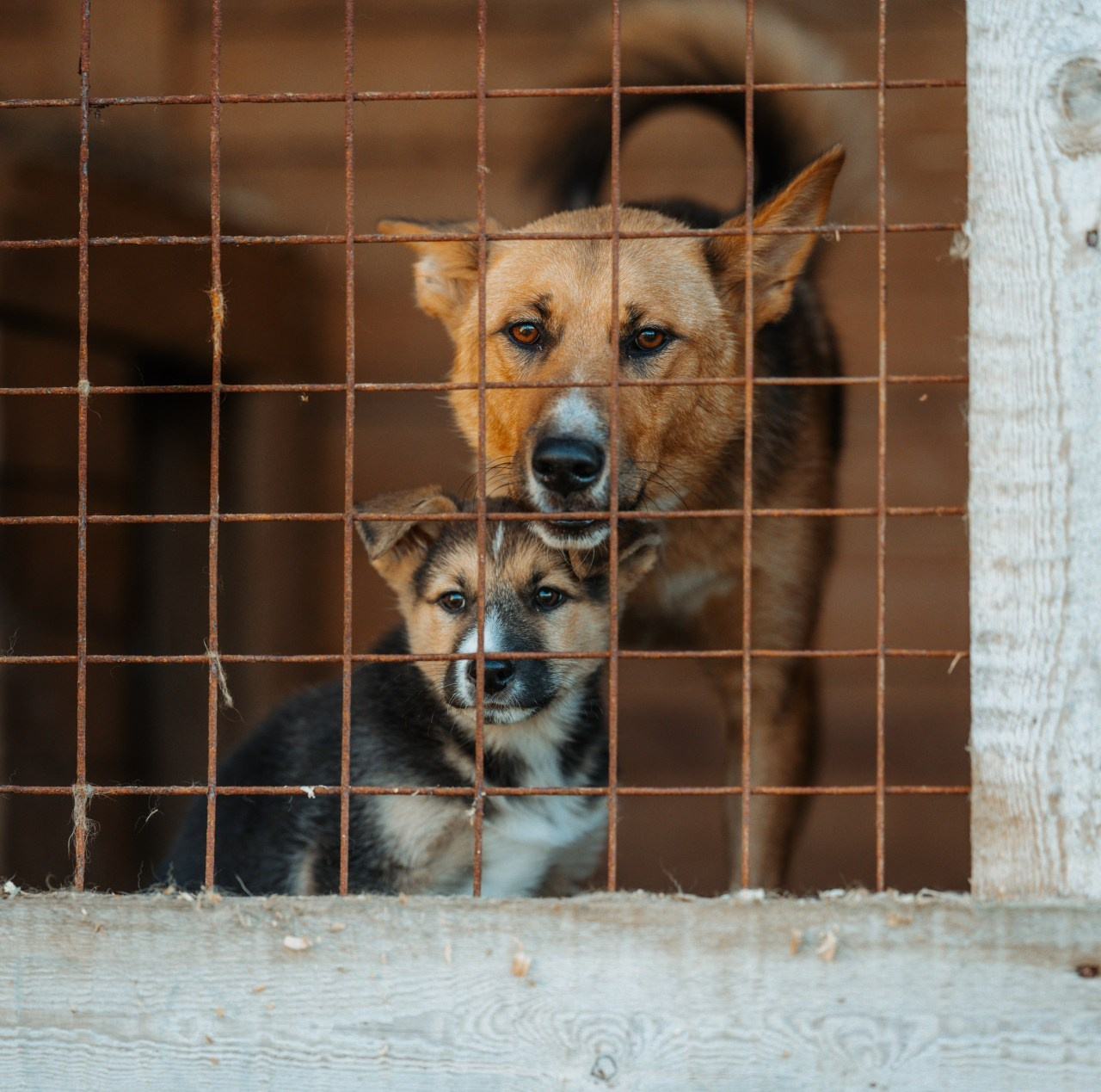 Отзывы. Фотограф Варвара Ермоленко