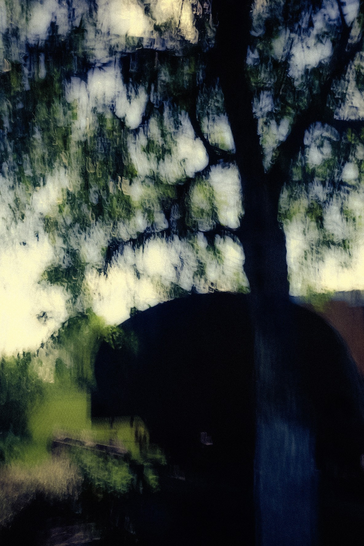 Дом. Maria Vdovina | фотограф и художник