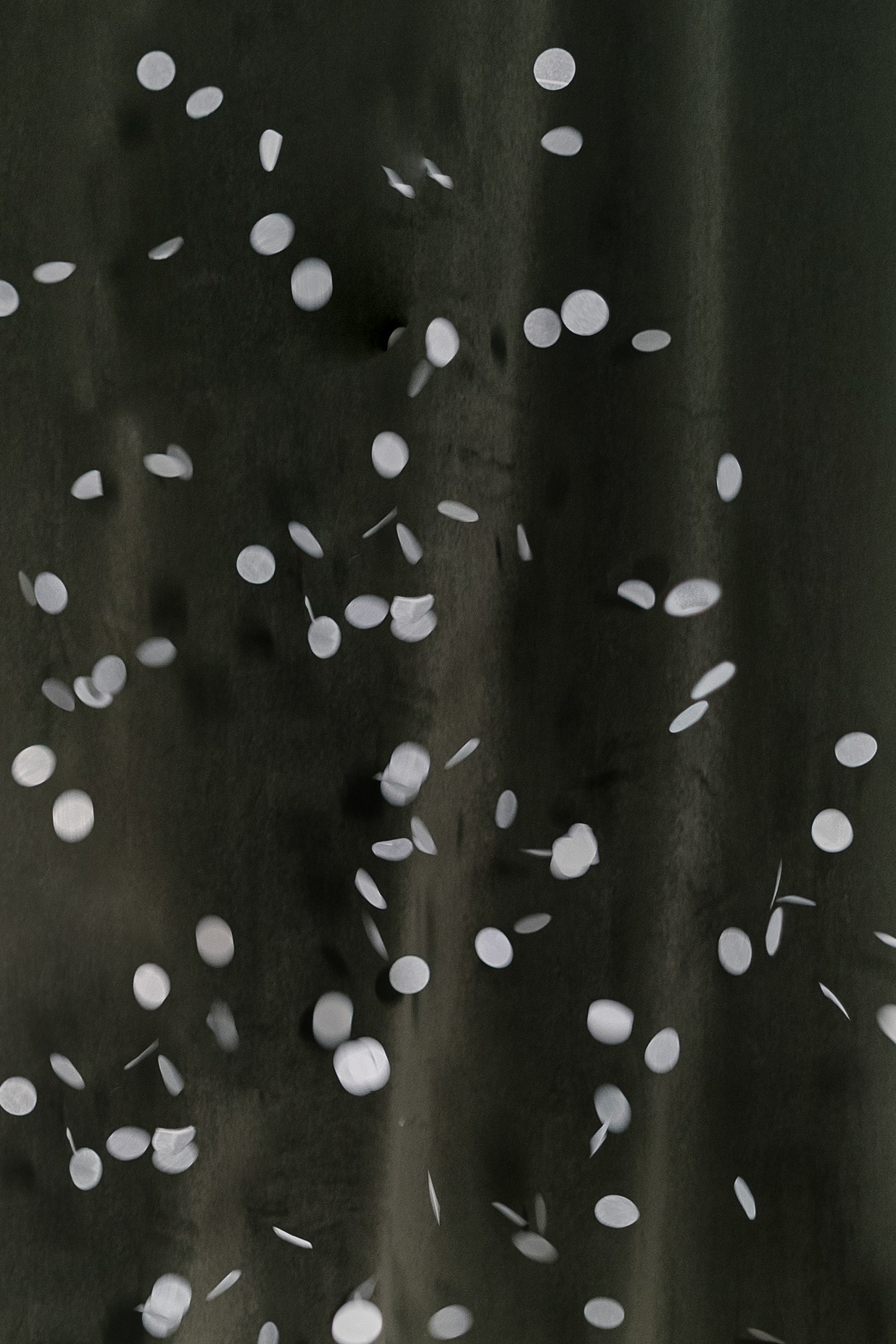 Наталья и Руслан: Марко Поло. Свадебный фотограф Москва