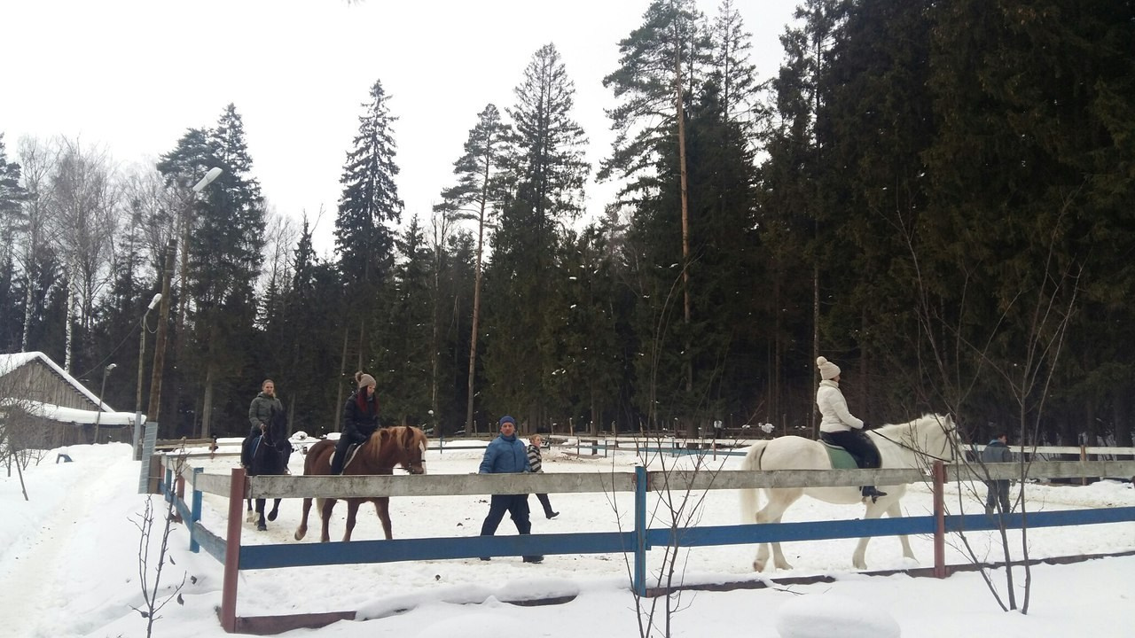 Активные выходные |18-19.02.2017. Галерея Фантим