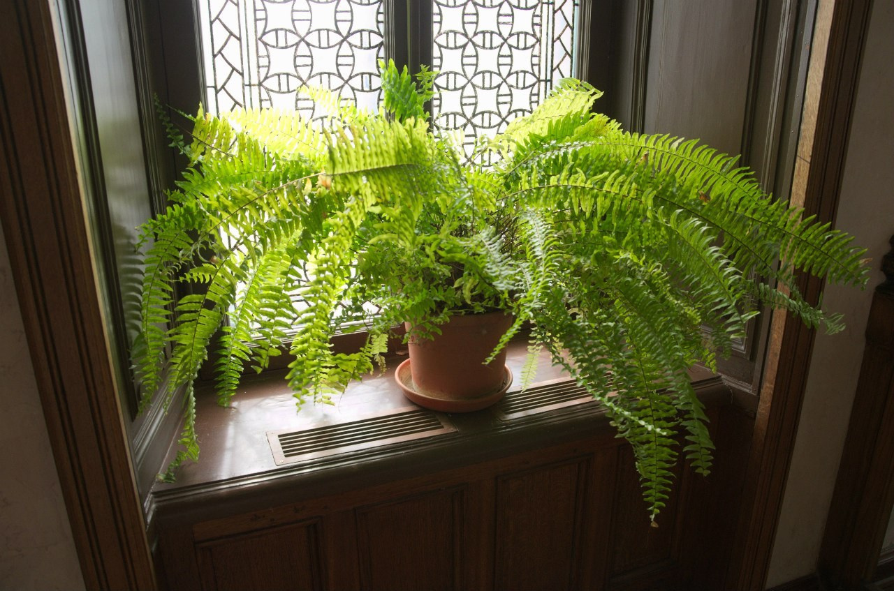 Середниково — Piligrim Porto — Братцево — Сходненская чаша | 09.04.2016. Галерея Фантим