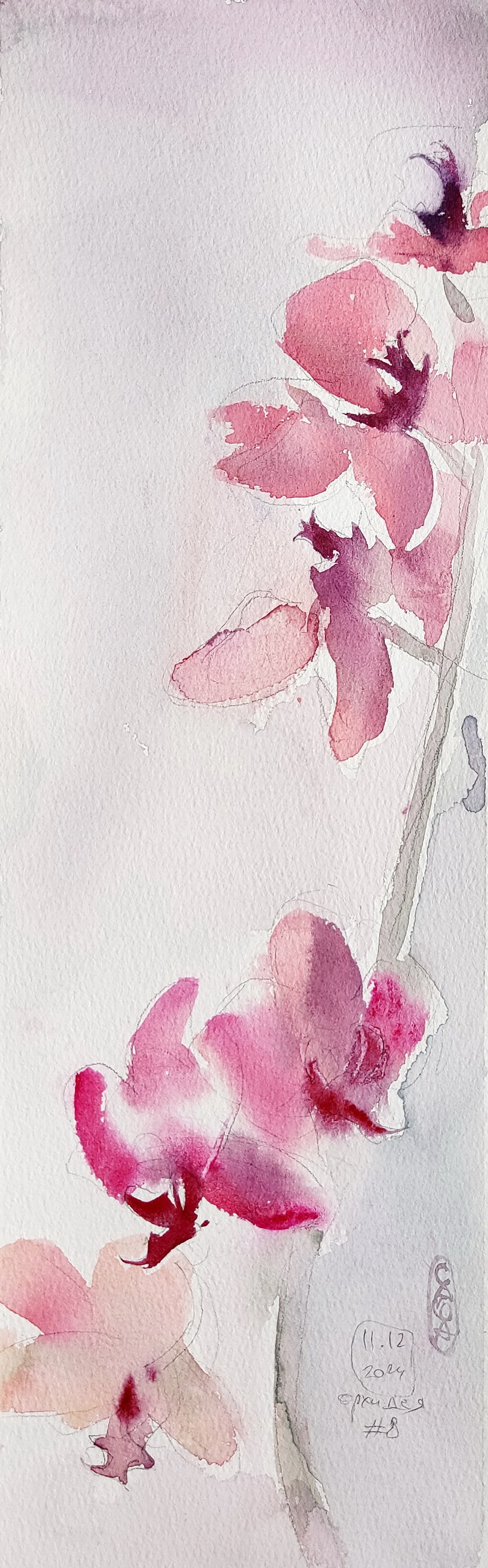 Flowers. Alexander Manaenkov | Watercolor Artist from Siberia