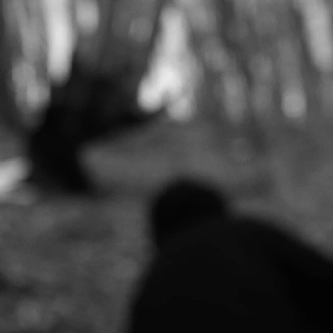 Ничего не было видно и приходилось прислушиваться. Художественная группа «Нежные Бабы»