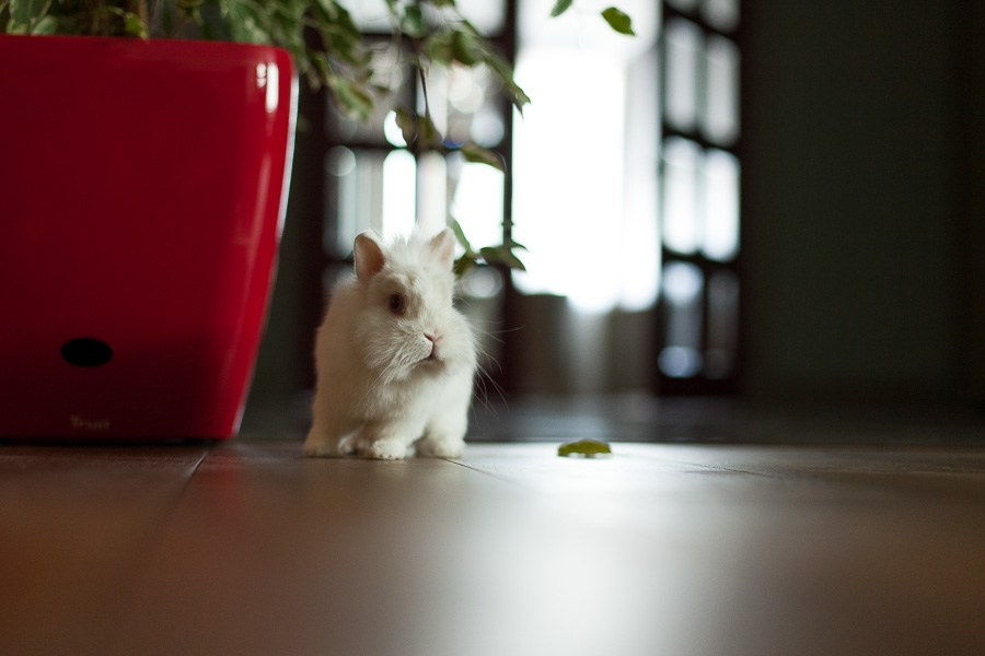 Street art. Фотостудия Алматы. Фотосъемка Алматы. Фотосессия Алматы. Фотокурсы. Обучение фотографии. Аренда студии