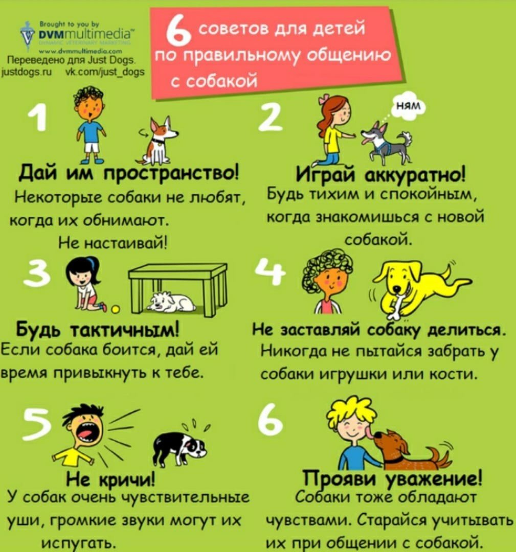 Лекция об «Ответственном отношении к животным» для студентов. НРОО КЦ "Собаковод"