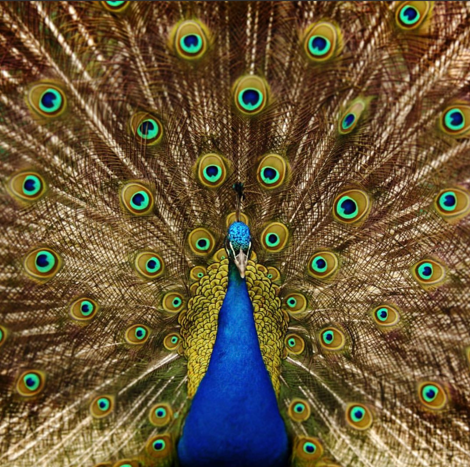 Around the world. Фотограф в Москве Maria Palomino De La Cruz