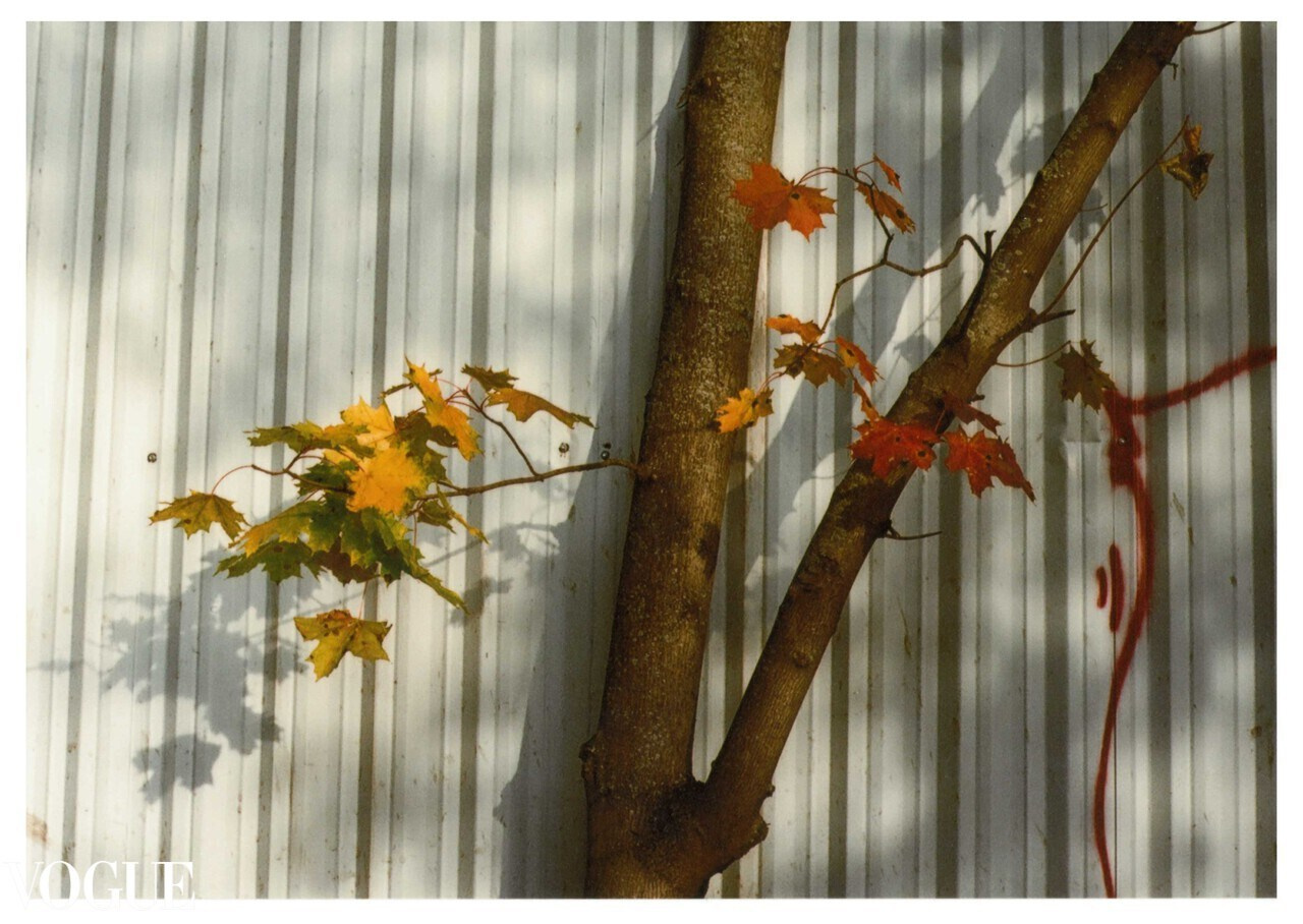 Fine Art Photography. Margarita Rodionova — a contemporary lens-based artist currently working in Cancun, Mexico