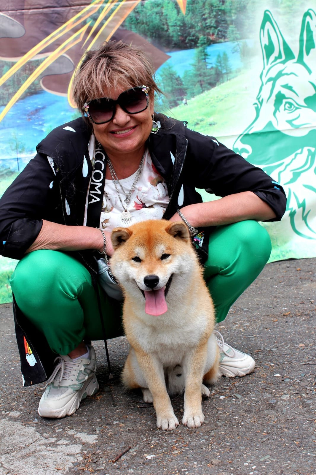 Щенки сиба-ину, шиба, Отец: SHIOMARU EVER DREAM Мать: TRIUMF SIBIRI AKIKO CHIKAKO, Санкт-Петербург, RUBYLIGHT kennel