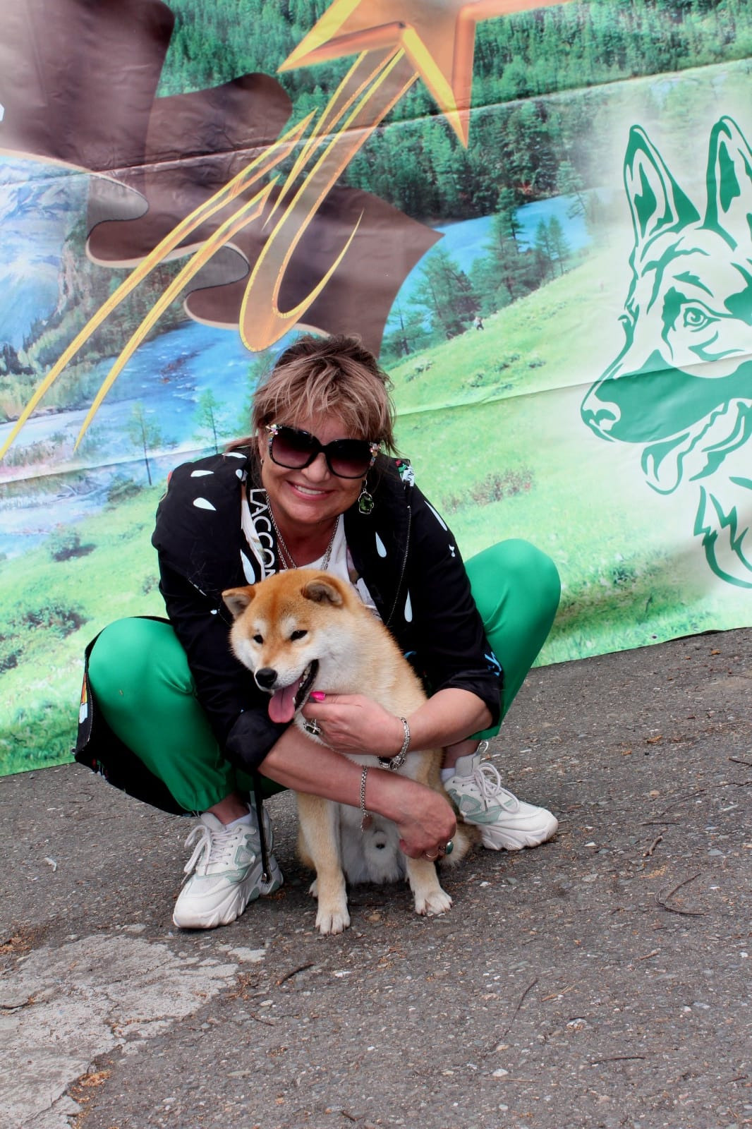 Щенки сиба-ину, шиба, Отец: SHIOMARU EVER DREAM Мать: TRIUMF SIBIRI AKIKO CHIKAKO, Санкт-Петербург, RUBYLIGHT kennel