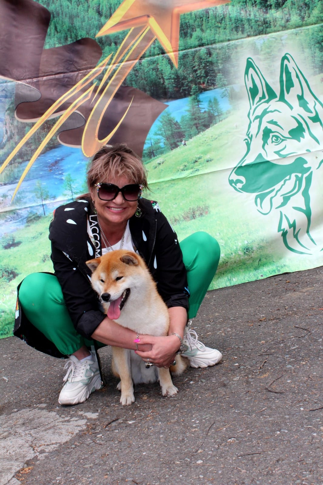 Щенки сиба-ину, шиба, Отец: SHIOMARU EVER DREAM Мать: TRIUMF SIBIRI AKIKO CHIKAKO, Санкт-Петербург, RUBYLIGHT kennel