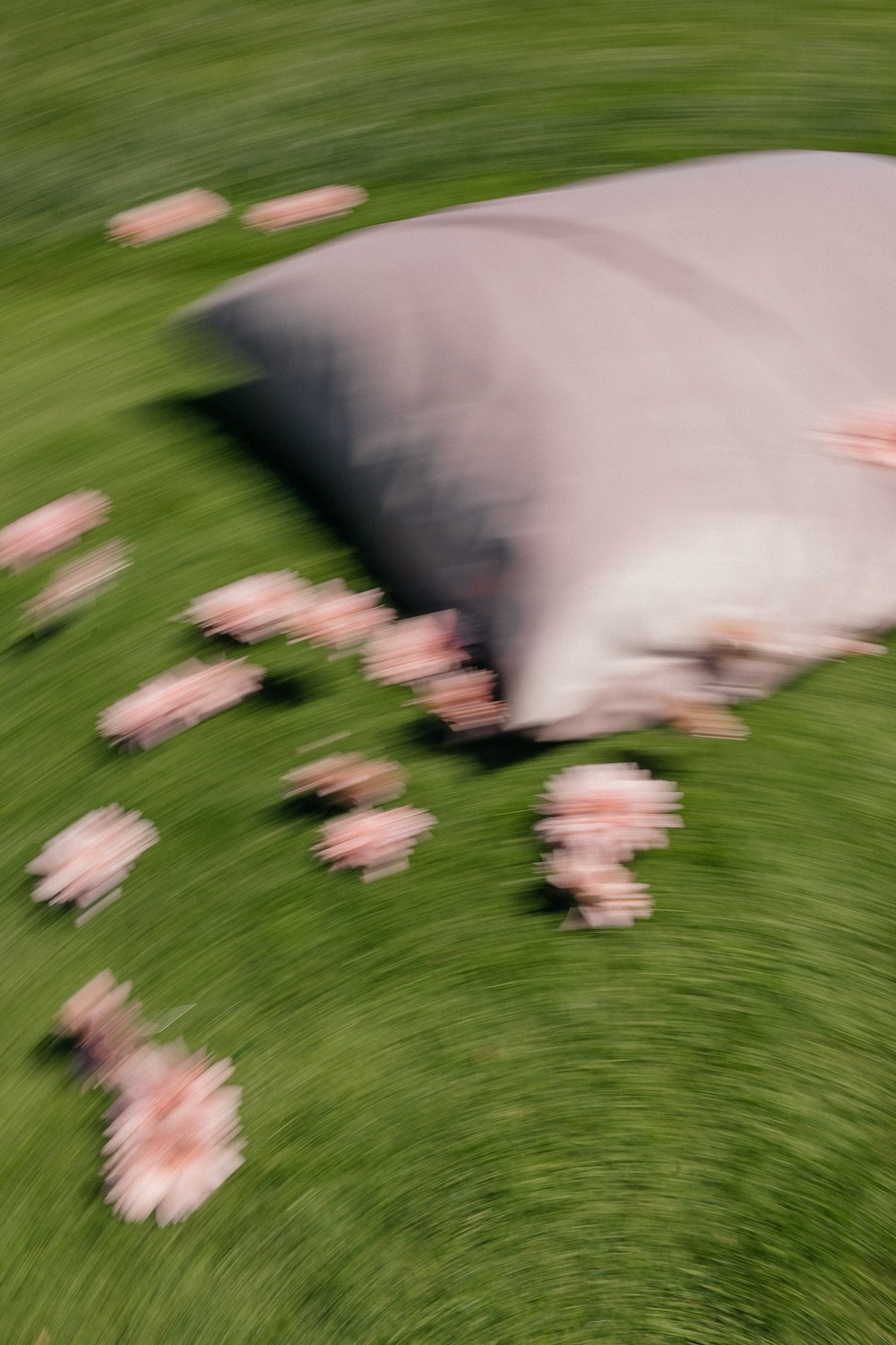 In the South. Свадебный фотограф Москва