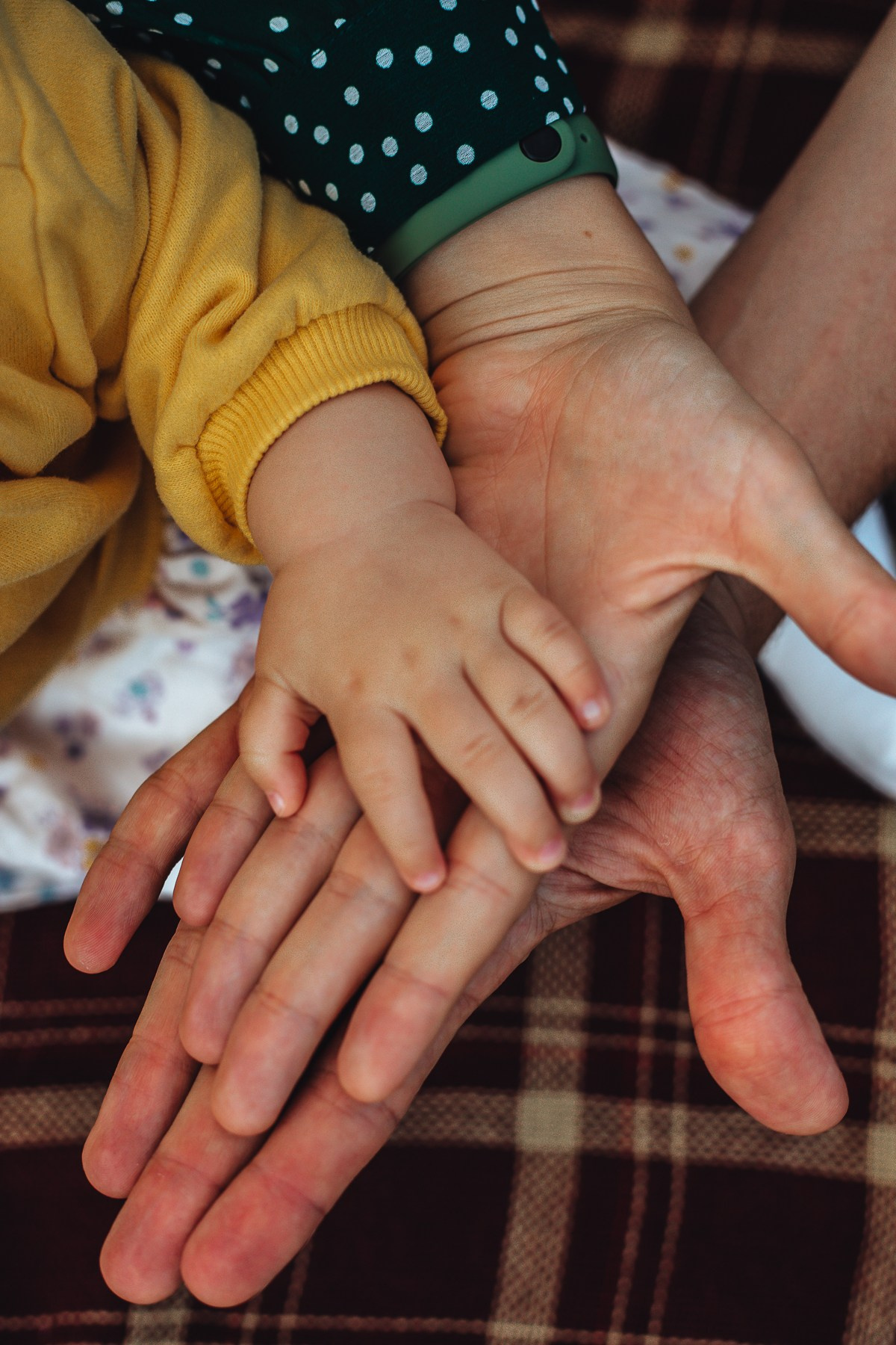 Иван, Ольга и Мира — в персиковом саду. Семейный фотограф Новороссийск, Анапа, Геленджик — Юлия Давыдова