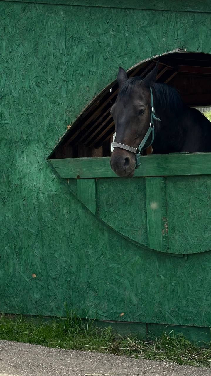 База отдыха. Фотограф в Нижнем Новгороде Лена Бирди