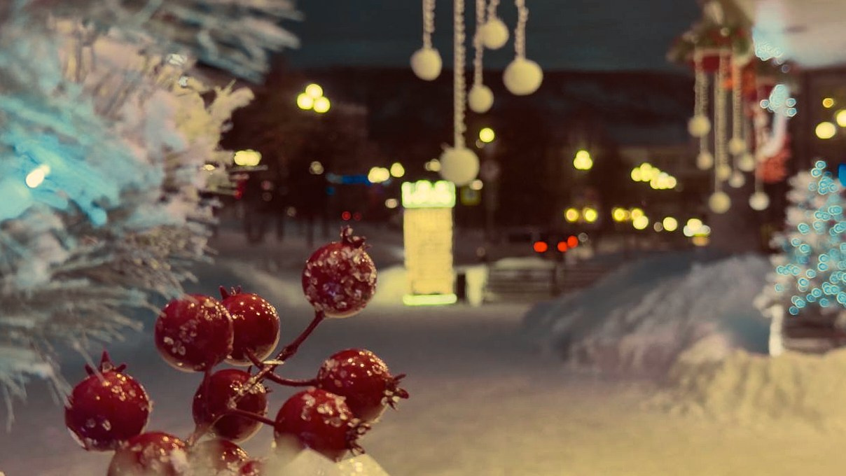 Арт-Колыма Ярмарка. Портретный и репортажный фотограф в Магадане Андрей Нефедов WinterCatPhoto