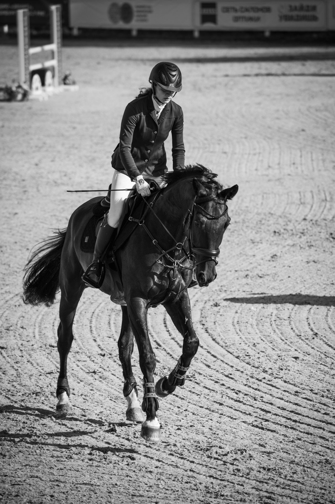 Конный спорт. Alexandrovna photography
