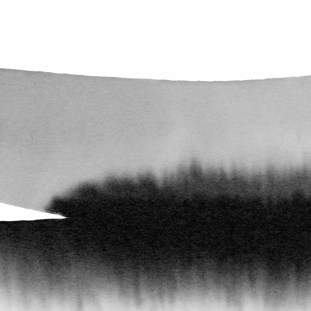 «Перья_чб». Галерея картин художницы Бельмесовой Евгении