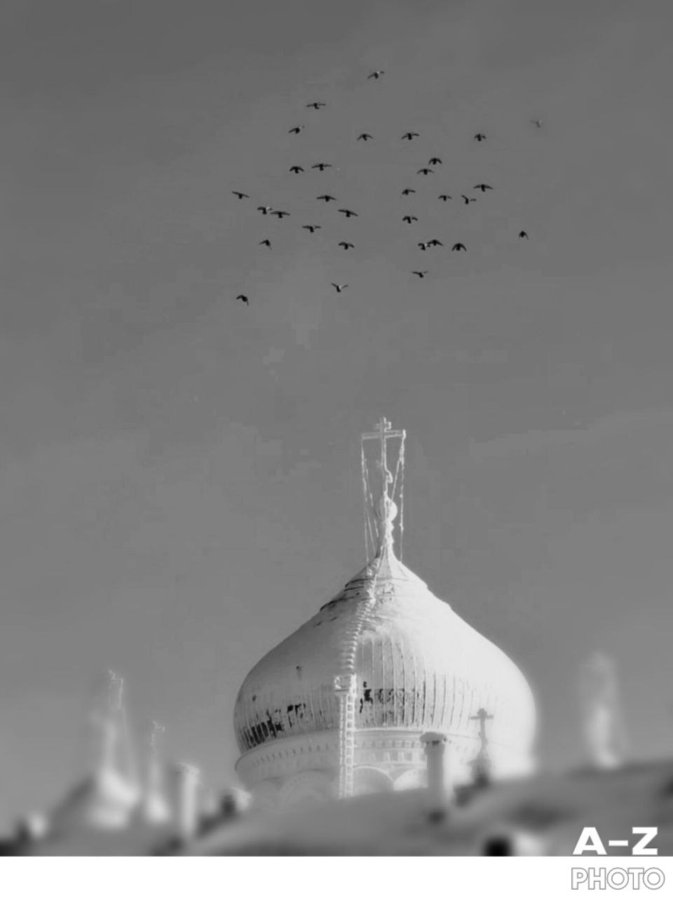 #ФОТОНЕДЕЛИ 12.01.2026. Женский семейный фотограф Тула Москва Захарова Анна