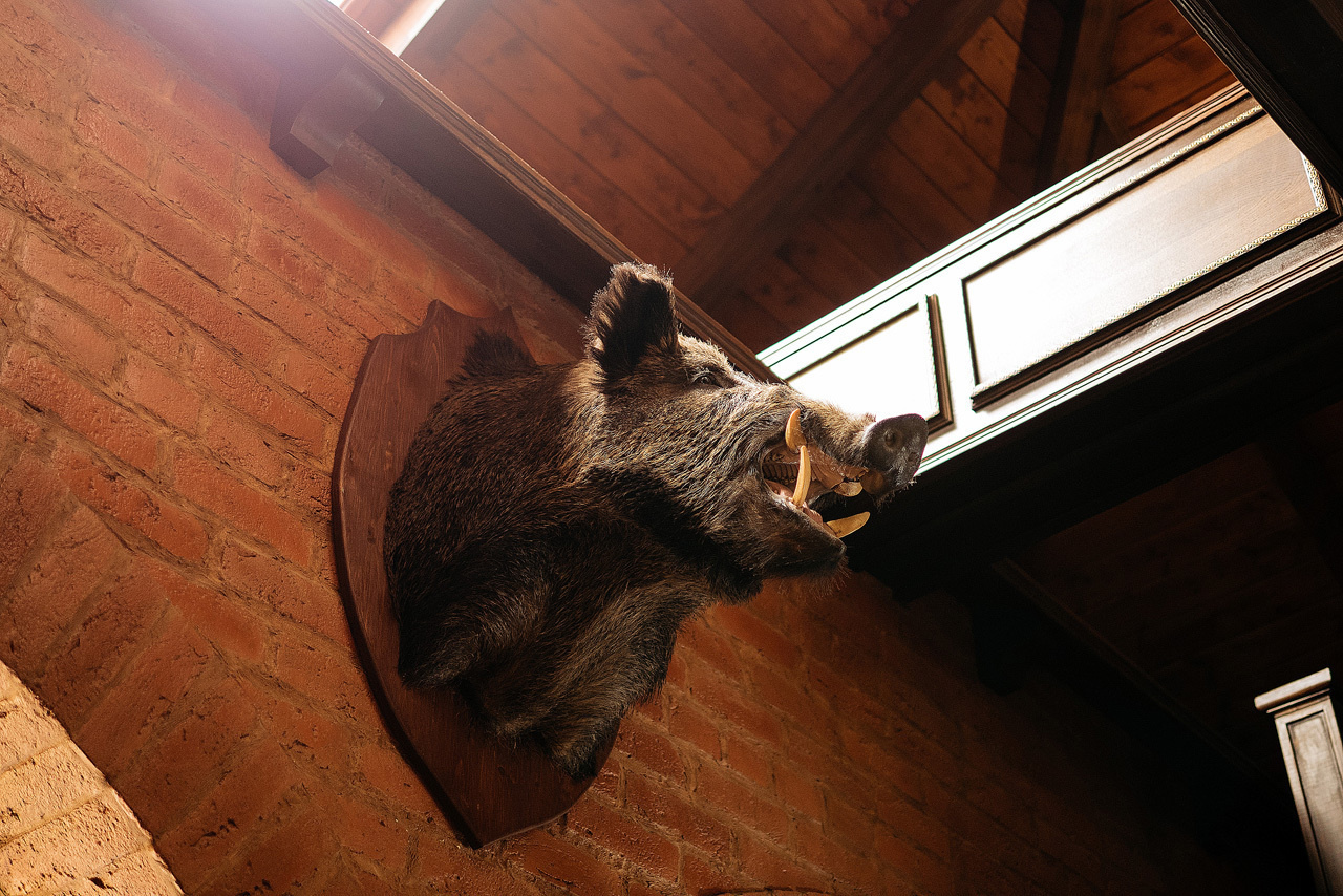 Катя и Фарход. Свадебный фотограф во Владимире - Мария Широкорядова