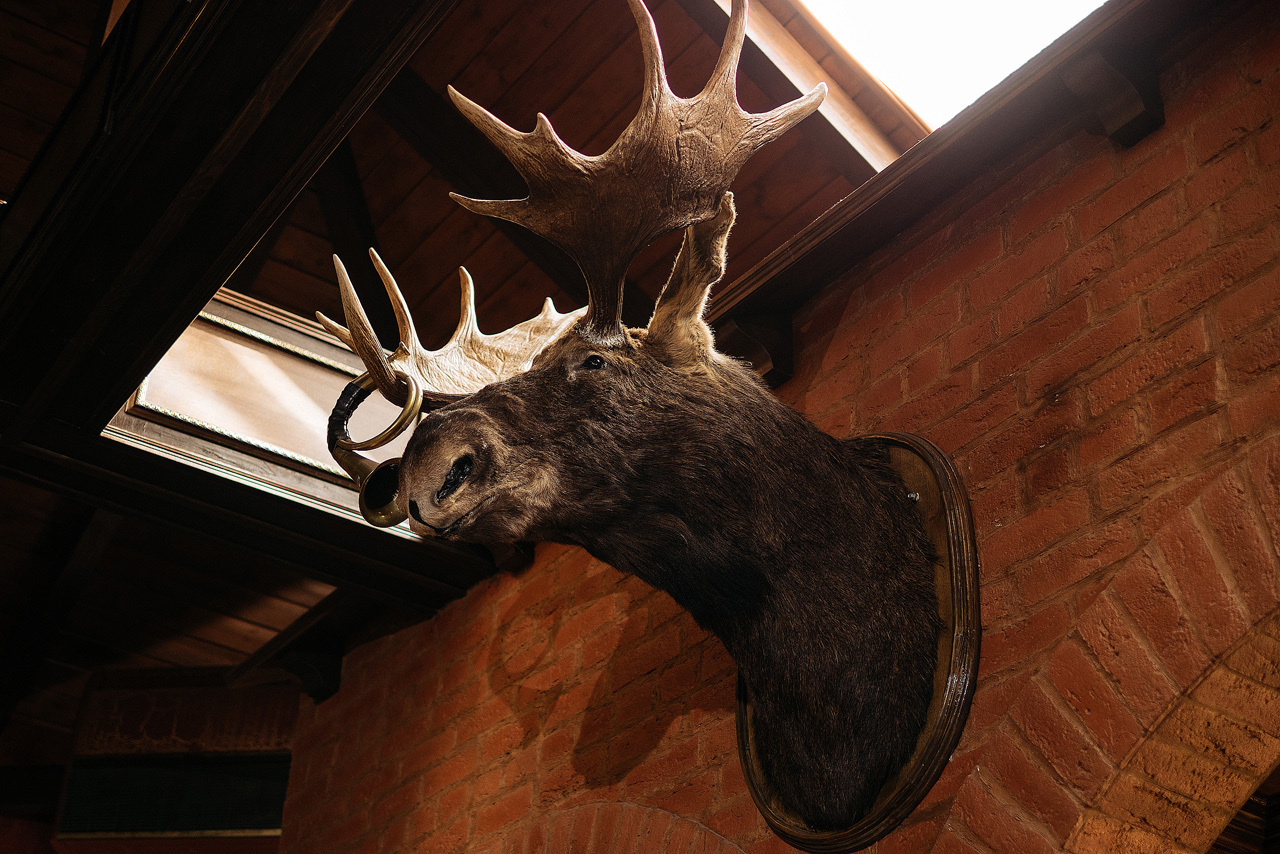 Катя и Фарход. Свадебный фотограф во Владимире - Мария Широкорядова