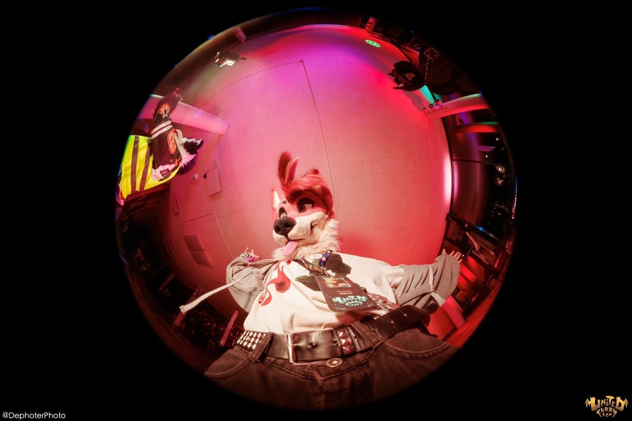 United Furry Convention 2026. Различные мероприятия и просто фотографии людей