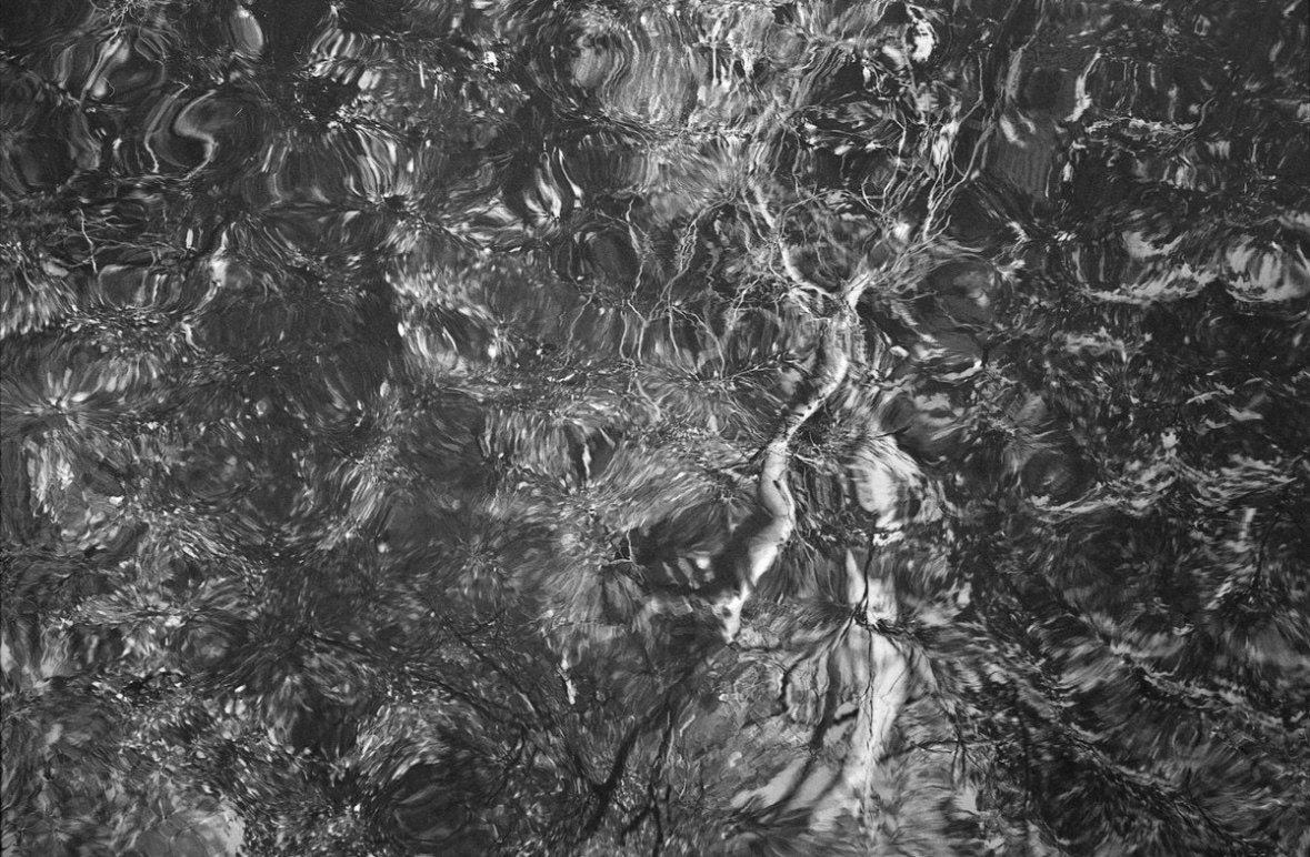 Выставка «Строчка за строчкой. Хокку глазами фотографов». Фотограф Юлия Близнецова