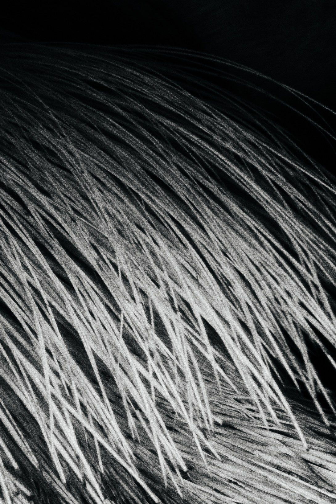 Helios. Photographer Mary Matveenko