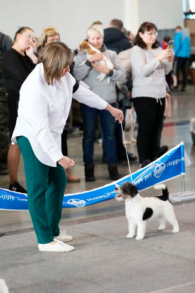 Port Fortis Destiny Of Love