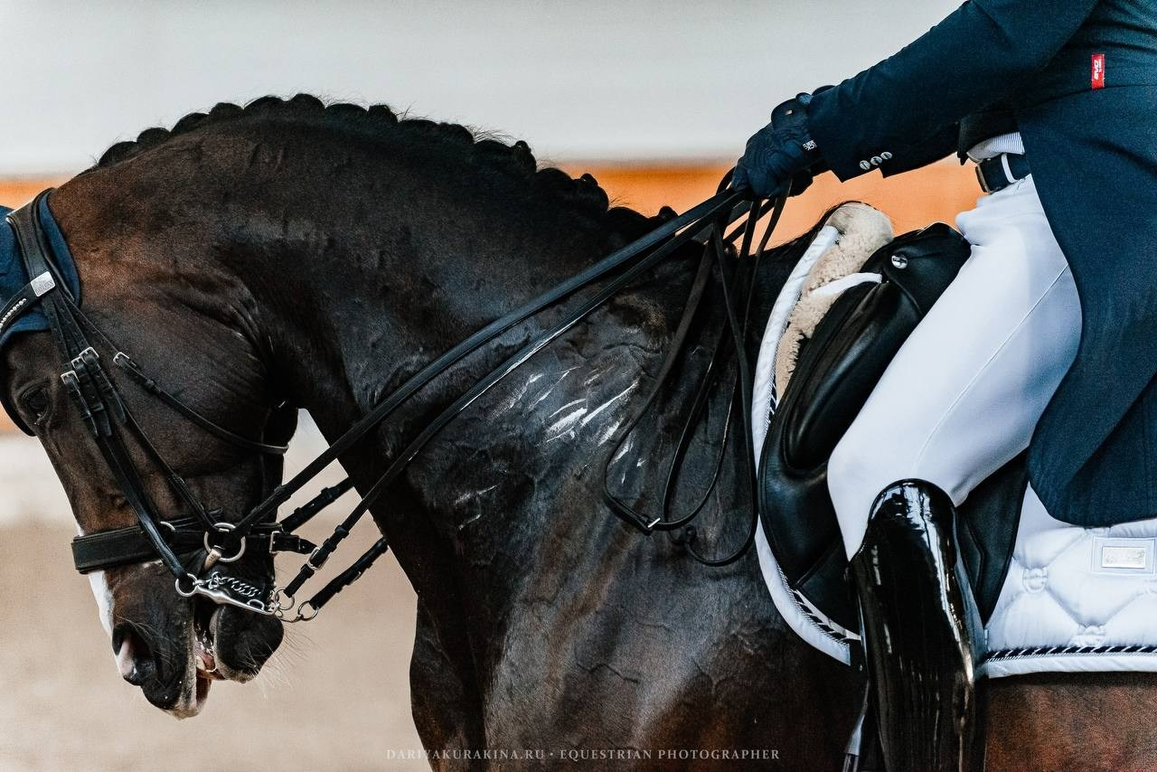 ЗОЛОТАЯ ОСЕНЬ КСК «КОНКОРД», ВЫЕЗДКА. Конный фотограф Куракина Дарья • Фотосессии с лошадьми