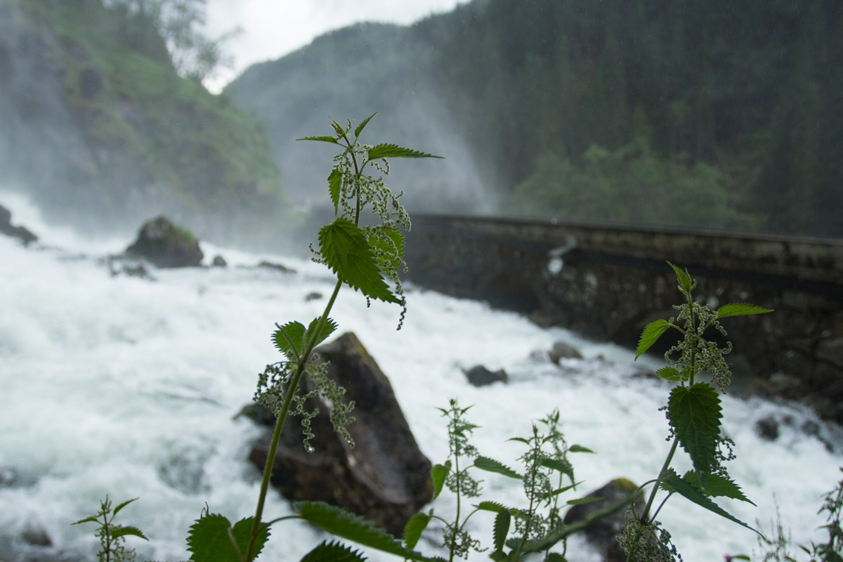 07/17. Норвегия. Walk&Fly with Batay