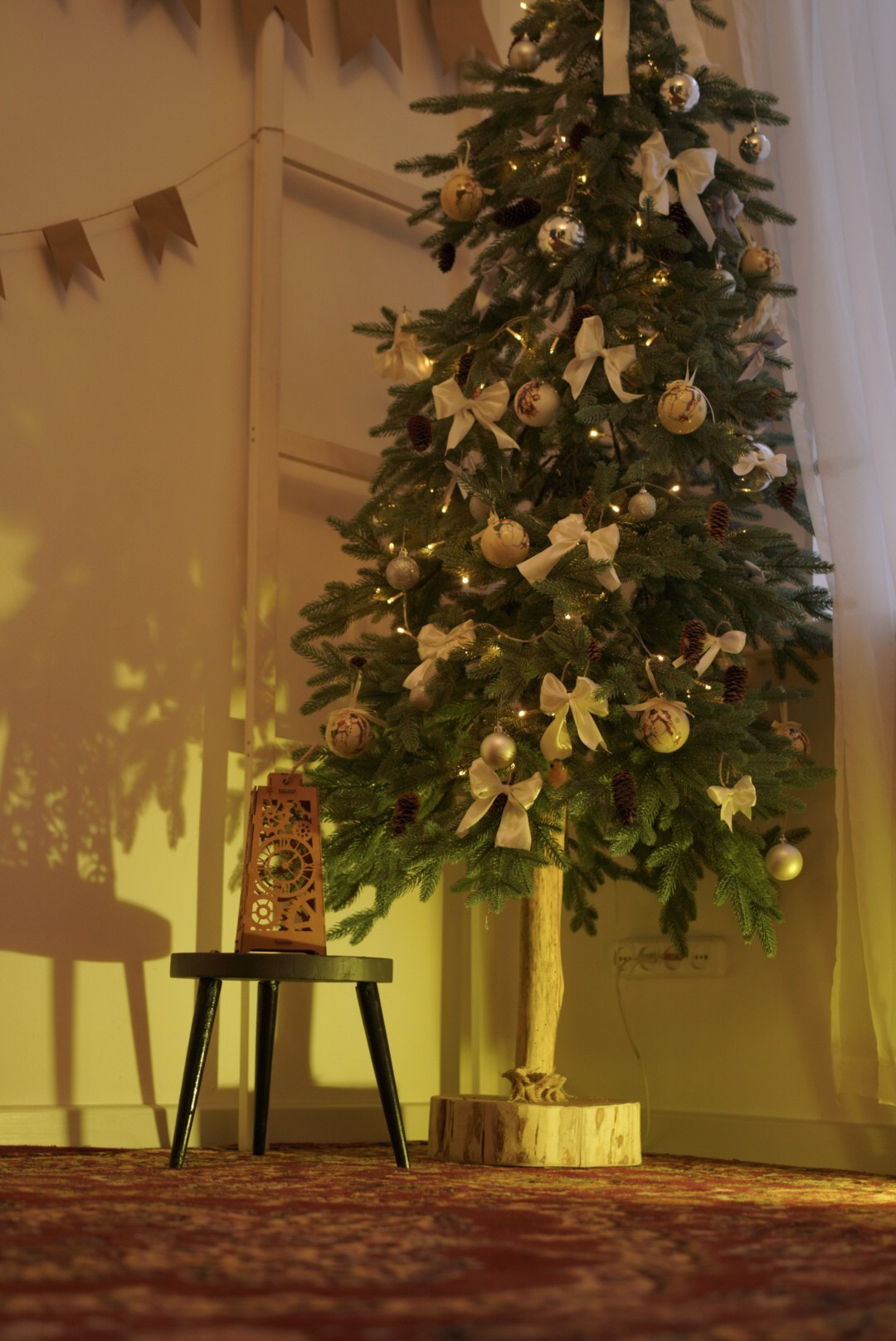 Новогодний Фотопроект в студии Art is…. Photographer in Montenegro