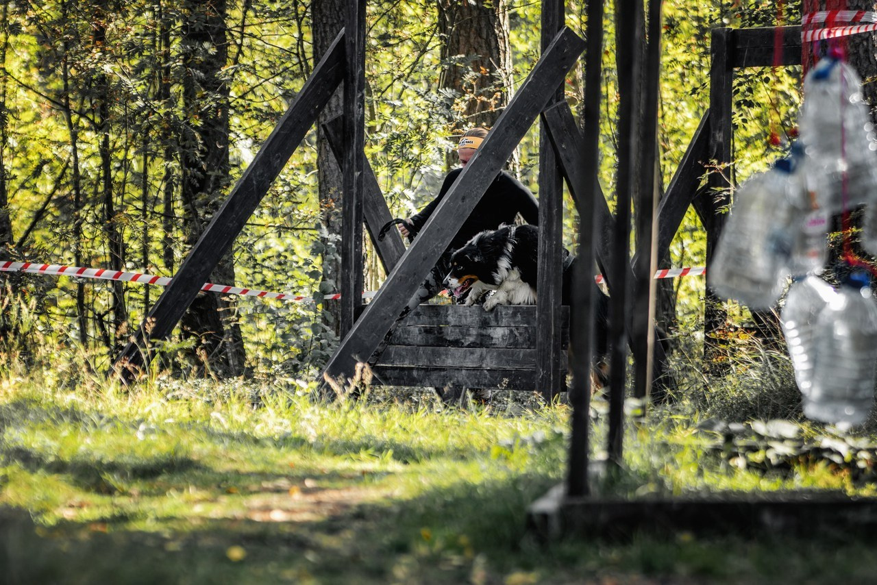 Отзывы. Фотограф-анималист Юлия Зубкова