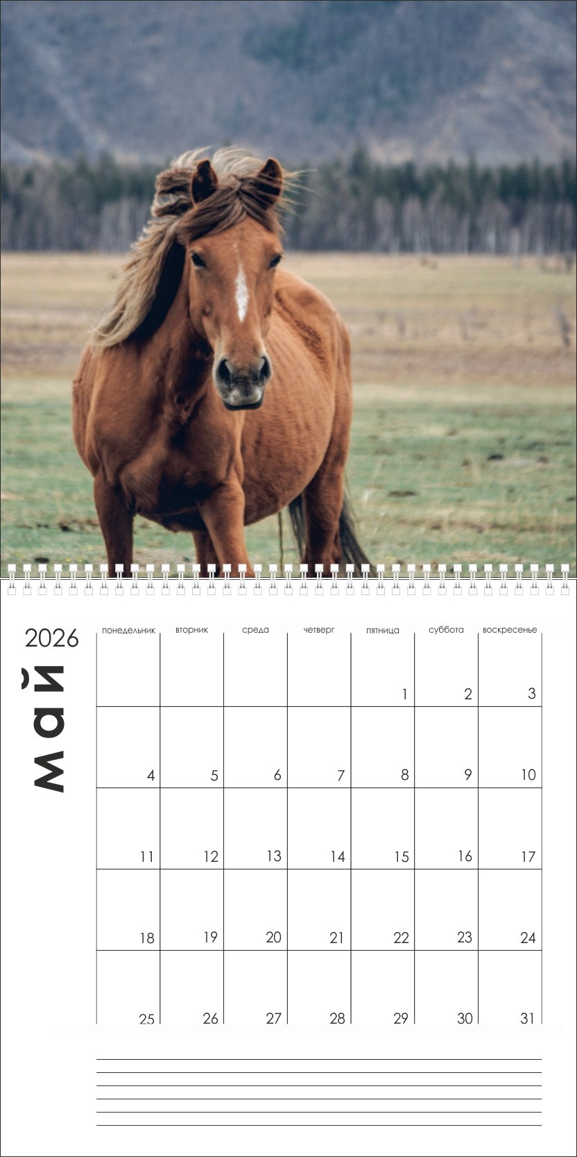 Календарь на 2026г. Лошади