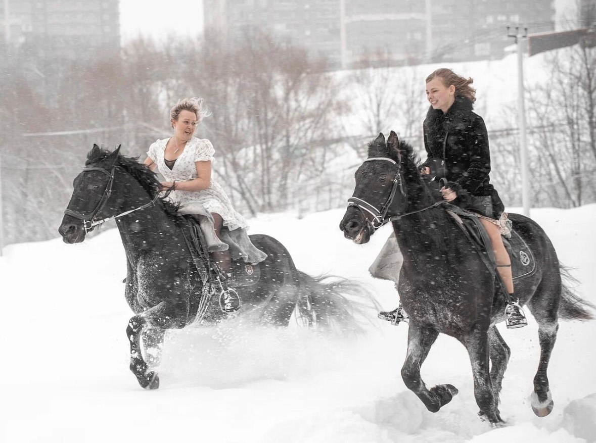 Фотопроект «На коне». ТриМедиа Продакшн