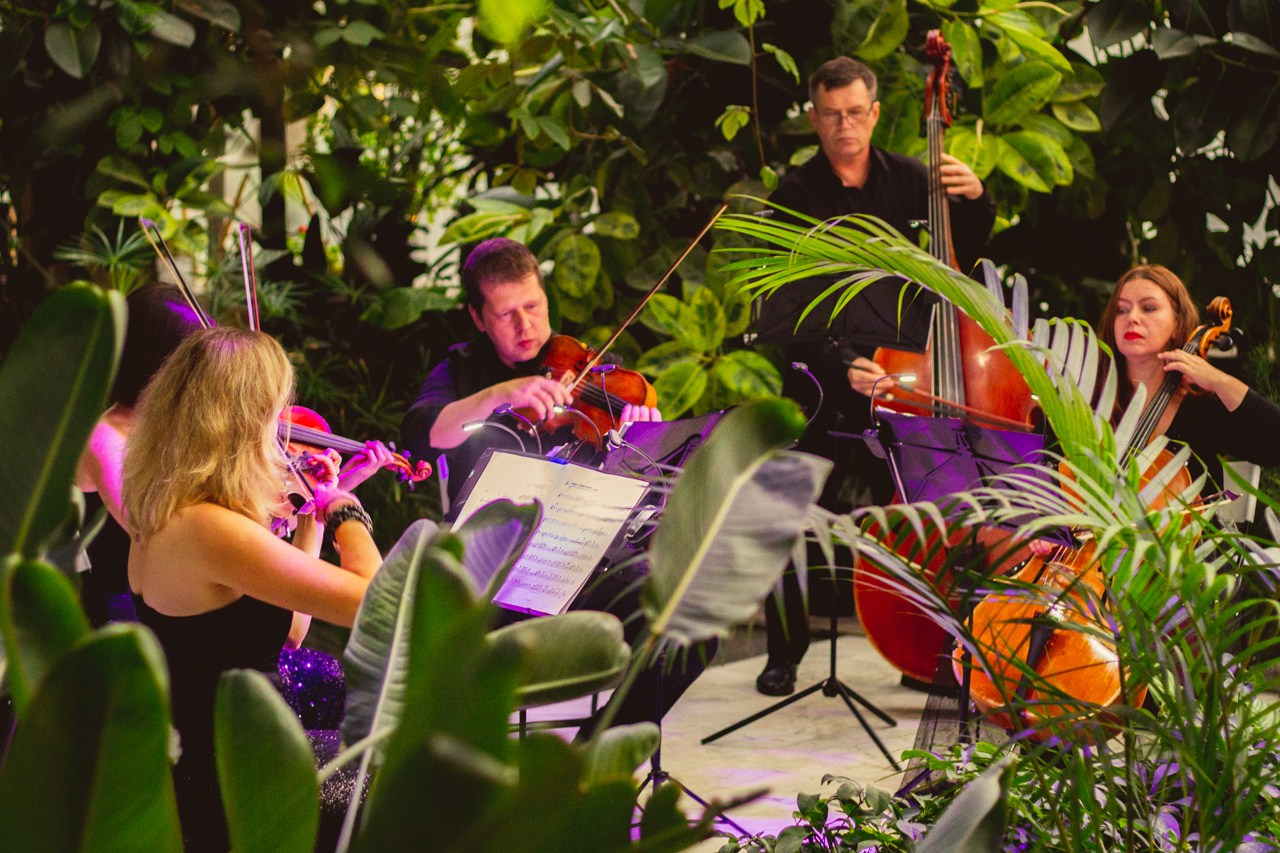 Petro Art — квартет в Таврическом саду (Рок Хиты). EvgenyCraft