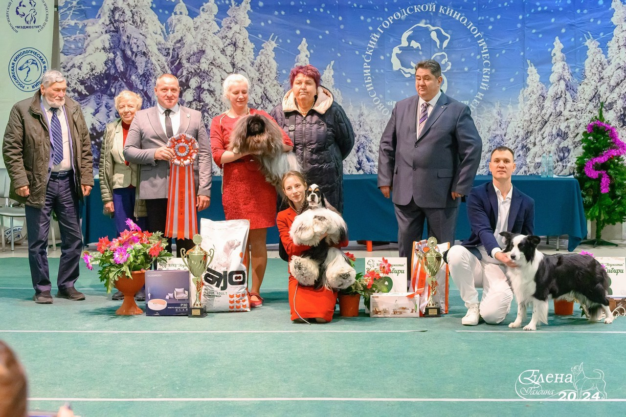 Отзывы. Фотограф анималист Елена Галдина г. Красноярск