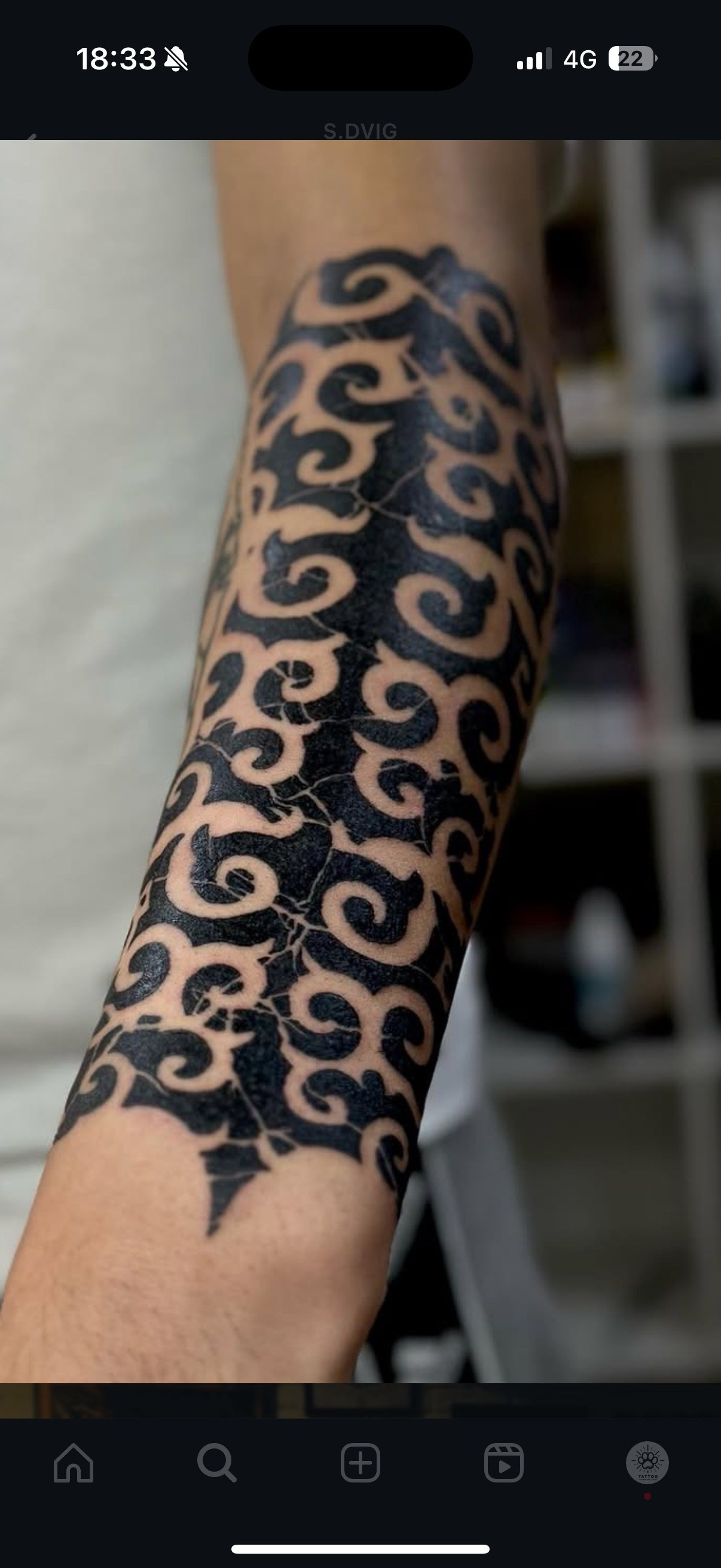 Дима. Meow tattoo home — Almaty