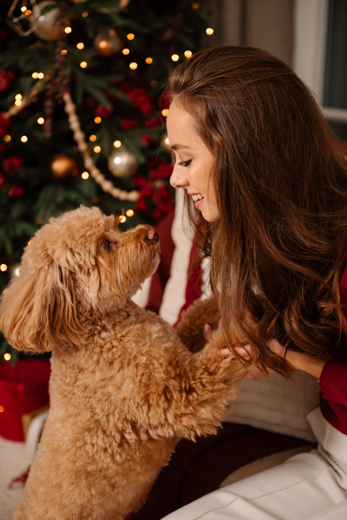 Индивидуальная. Анастасия с собачкой. Свадебный и сеейный фотограф в Санкт-Петербурге Елена Худякова