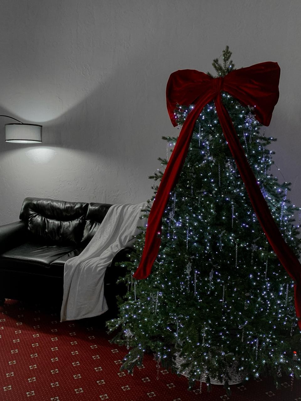 Темный зал (А24). Фотограф г. Хабаровск. Семейные и индивидуальные съёмки