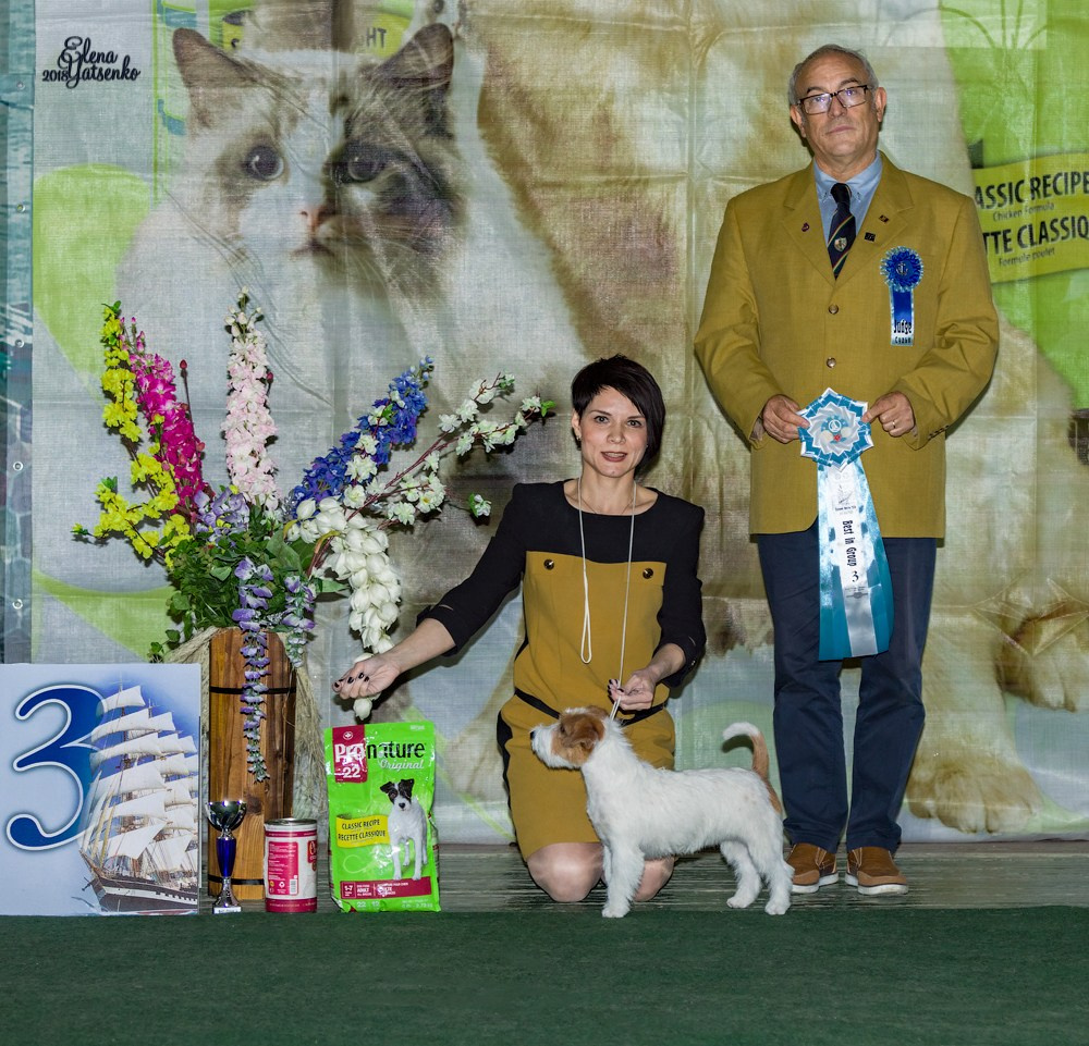 MARGARITA. CANE MAESTRO — kennel Jack Russell Terrier