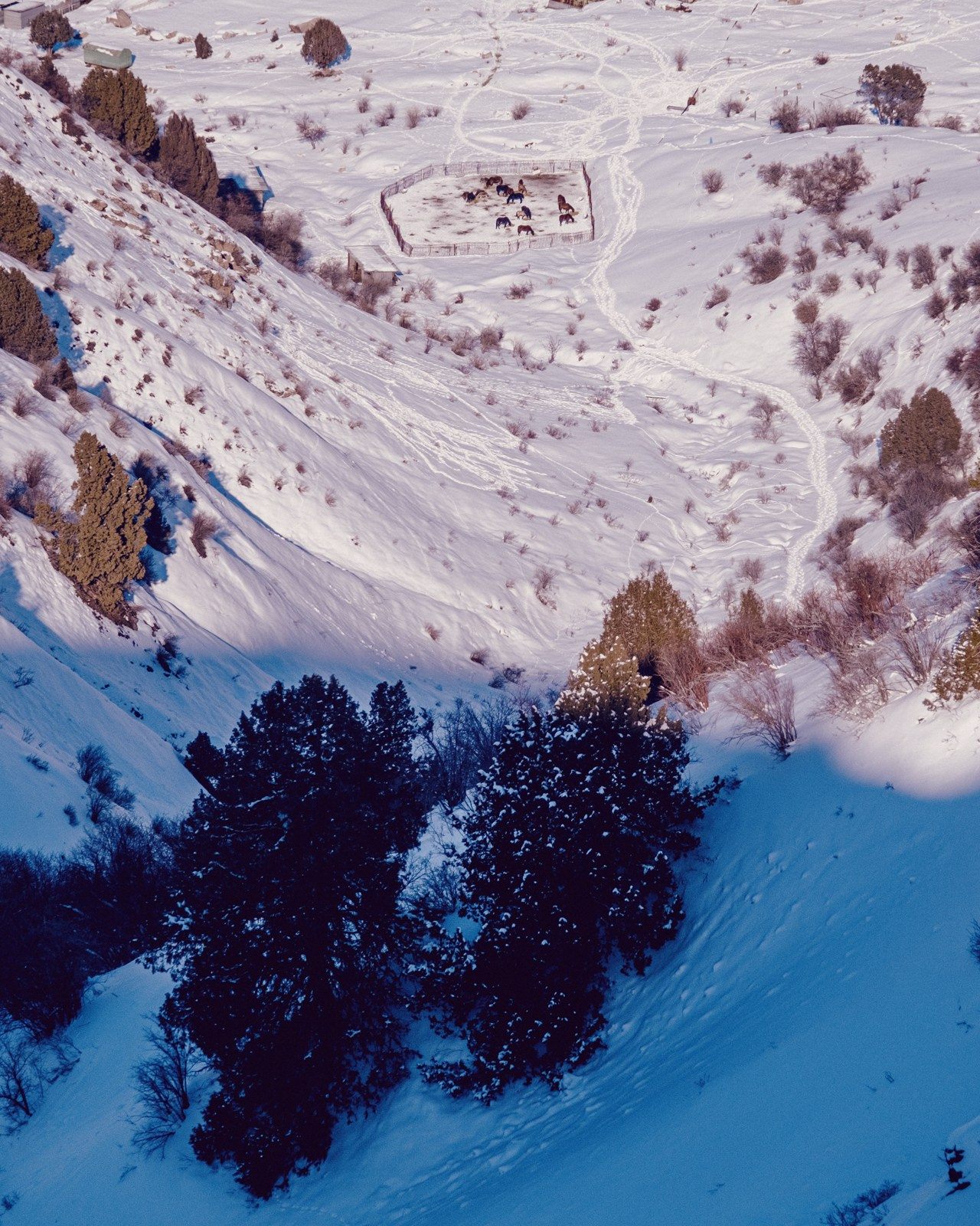 Узбекистан. Фотограф Дмитрий Олрайт | Калуга, Россия