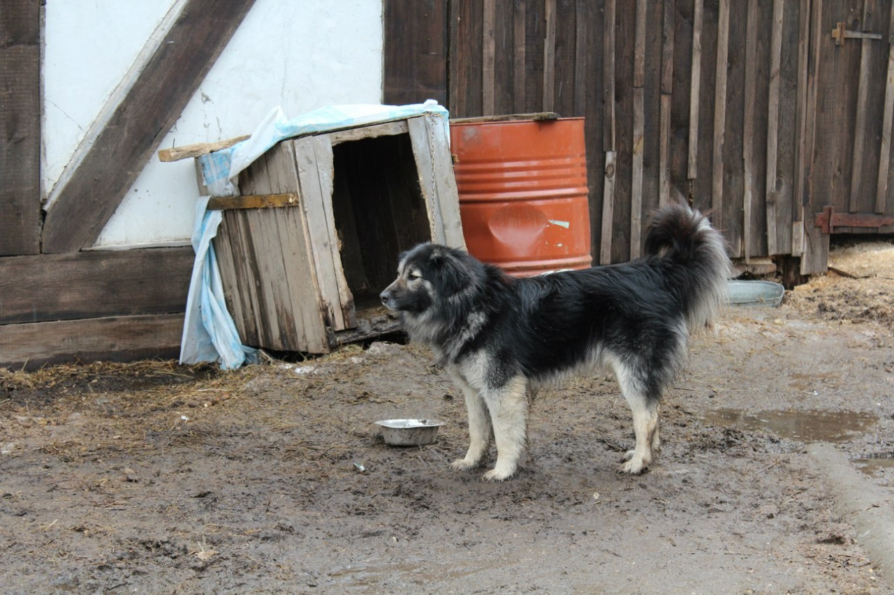Лошадинг+шашлычинг | 02.04.2016. Галерея Фантим